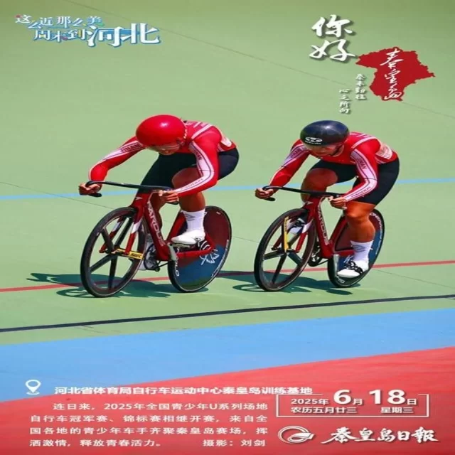 乒乓球冠军格局数据解析：第223组的独特视角